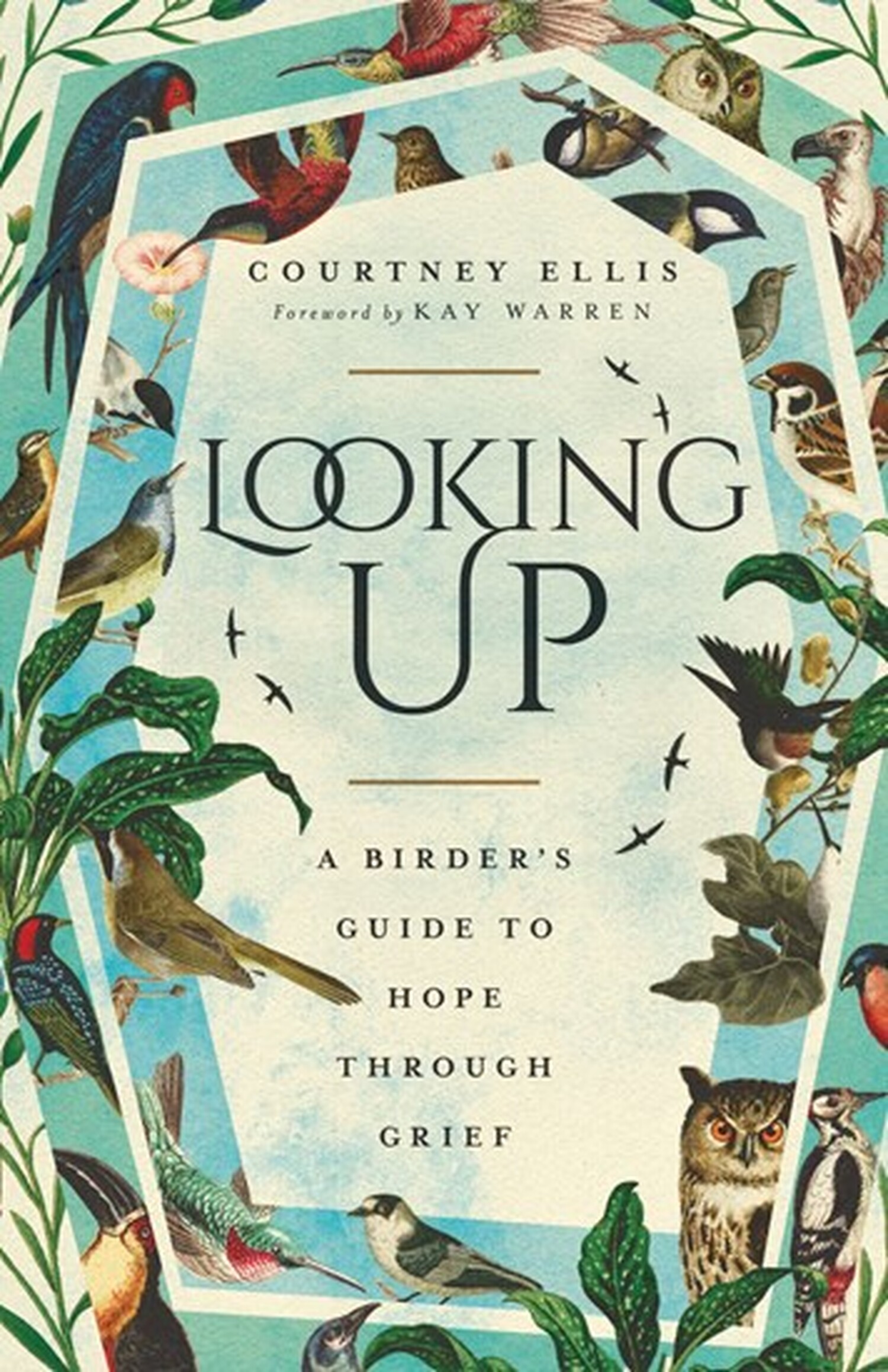 Looking-Up-Cover-2.jpeg