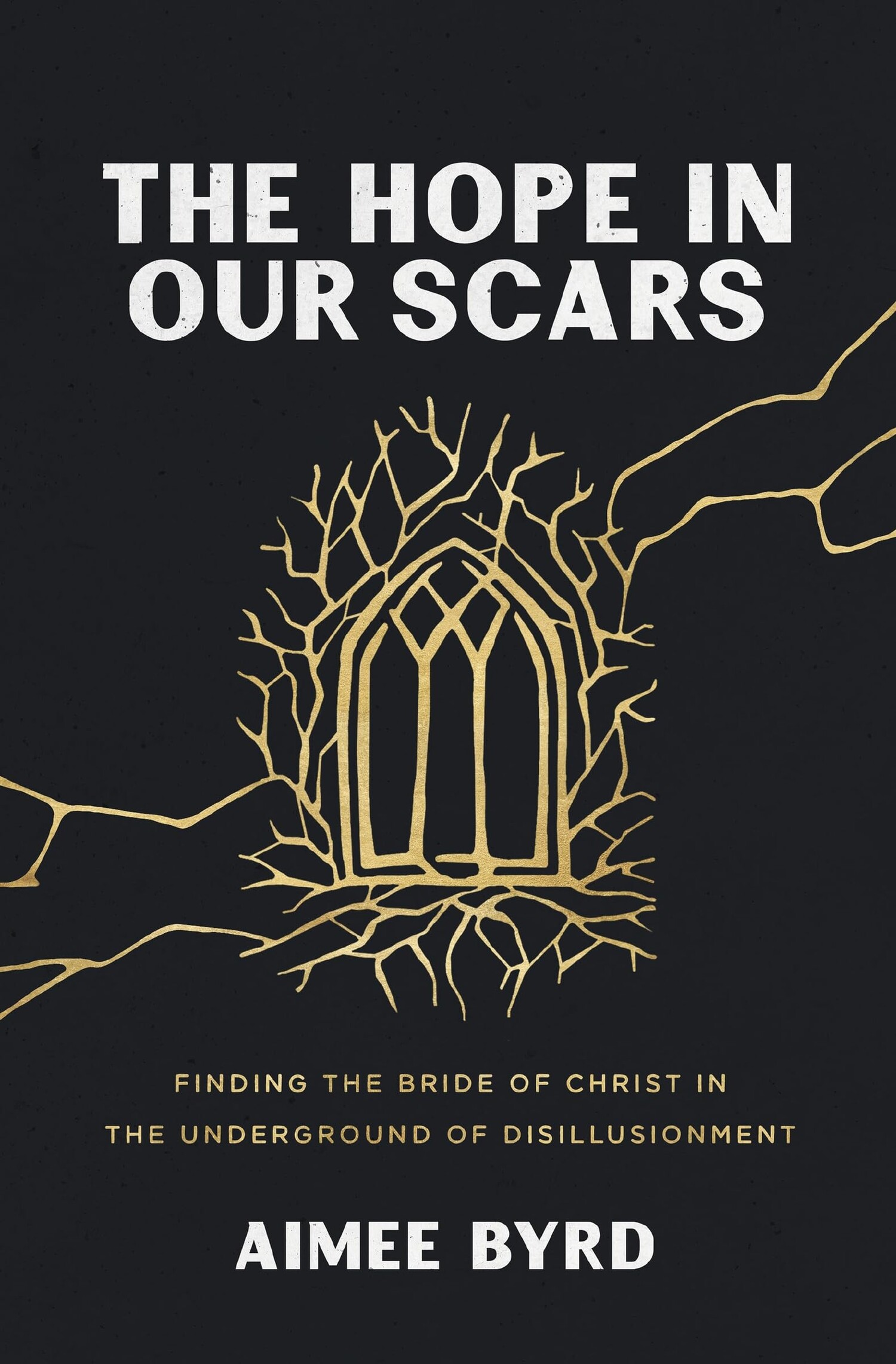 The-Hope-in-our-Scars-Cover.jpeg